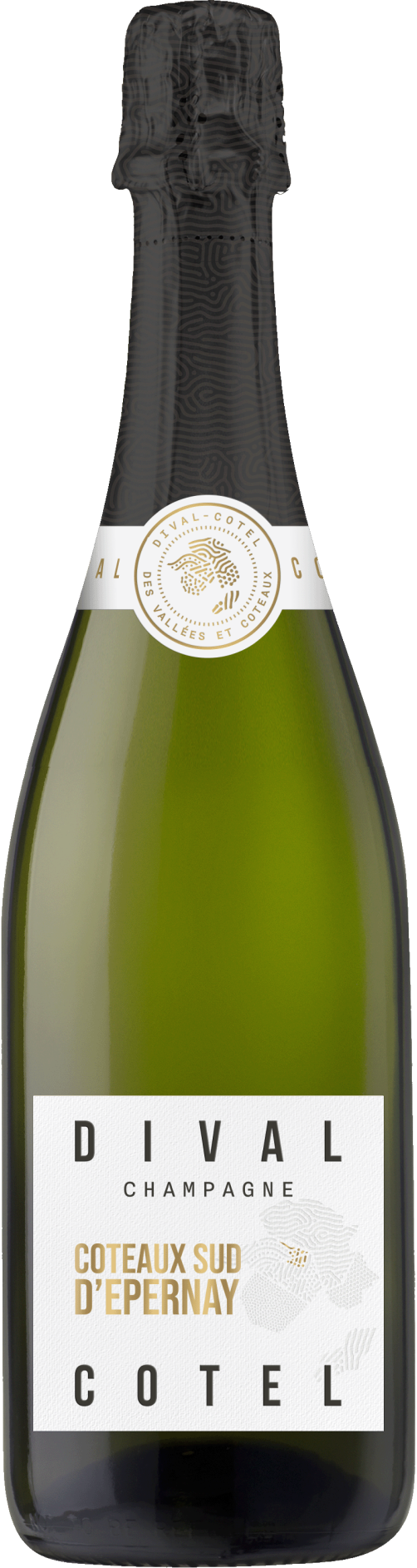 Champagne - Cordier 1886