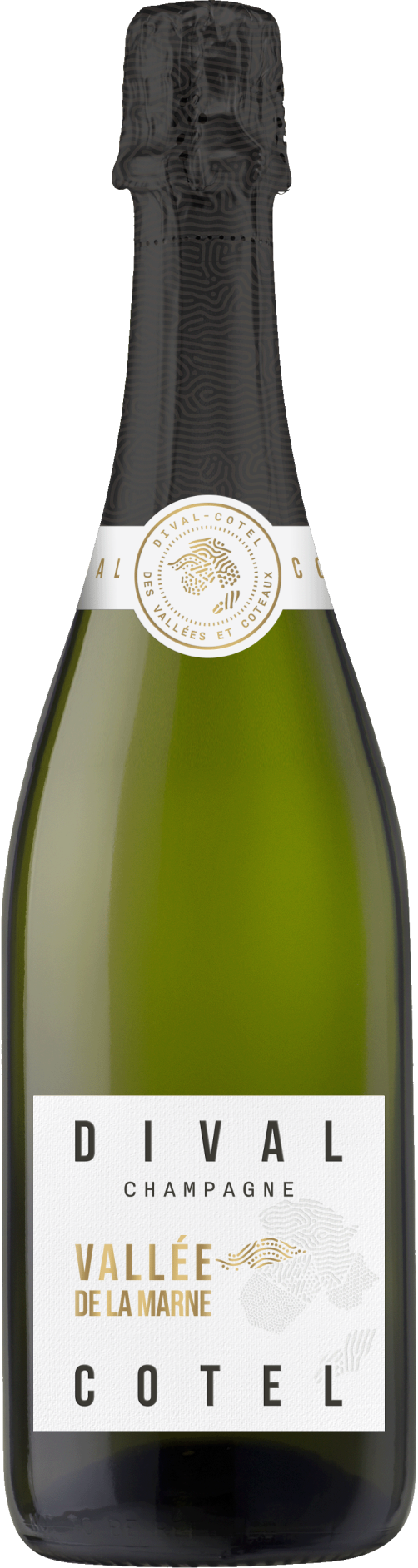Champagne - Cordier 1886