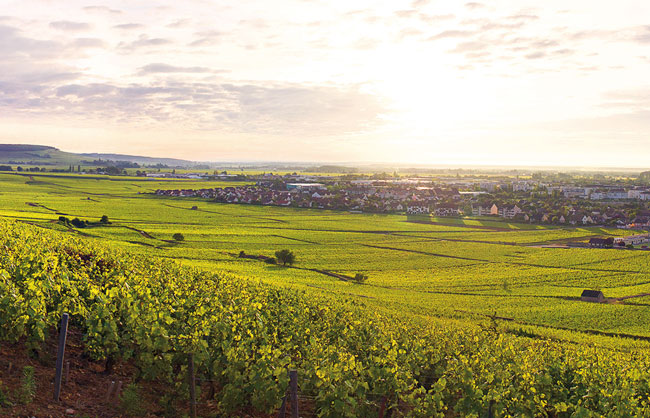 Bourgogne - Cordier 1886